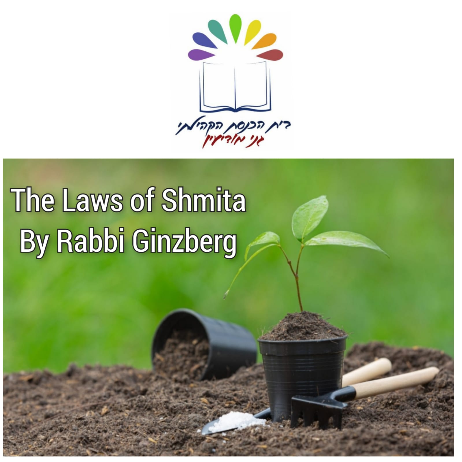 On Monday August 30th at 20:00 there will be a lecture by Rabbi Ginzberg about the laws of Shmita.
The lecture will be in english.